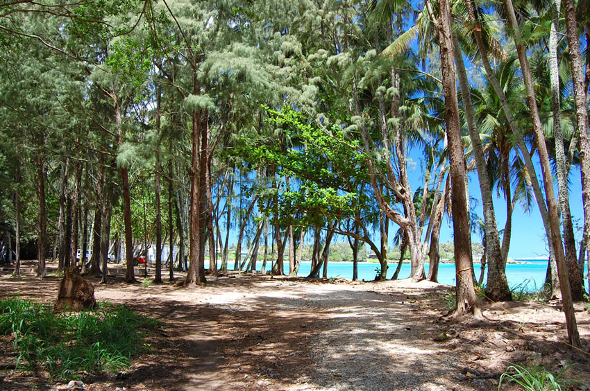 Trail to Kawela Bay 3
