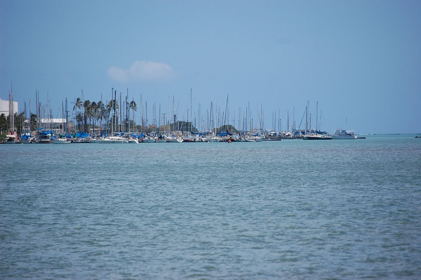 Boat Harbor