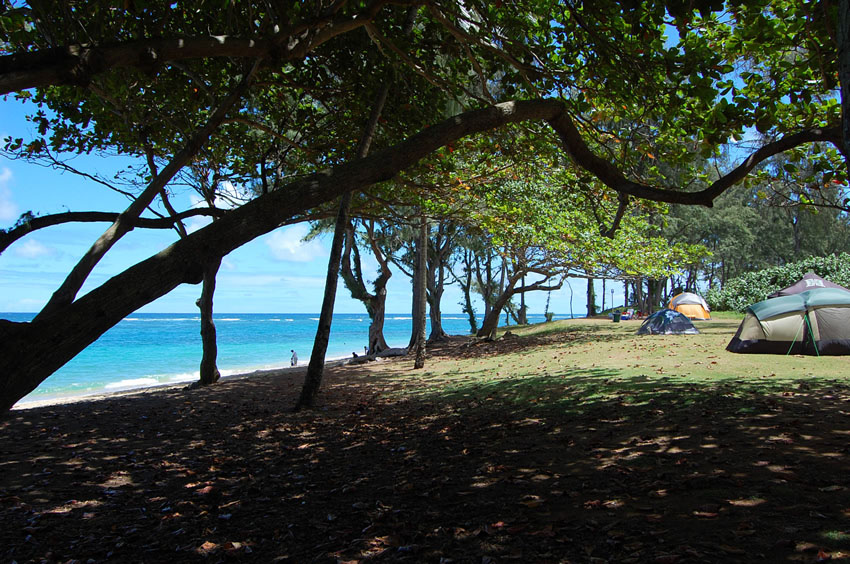 Beachfront Camping
