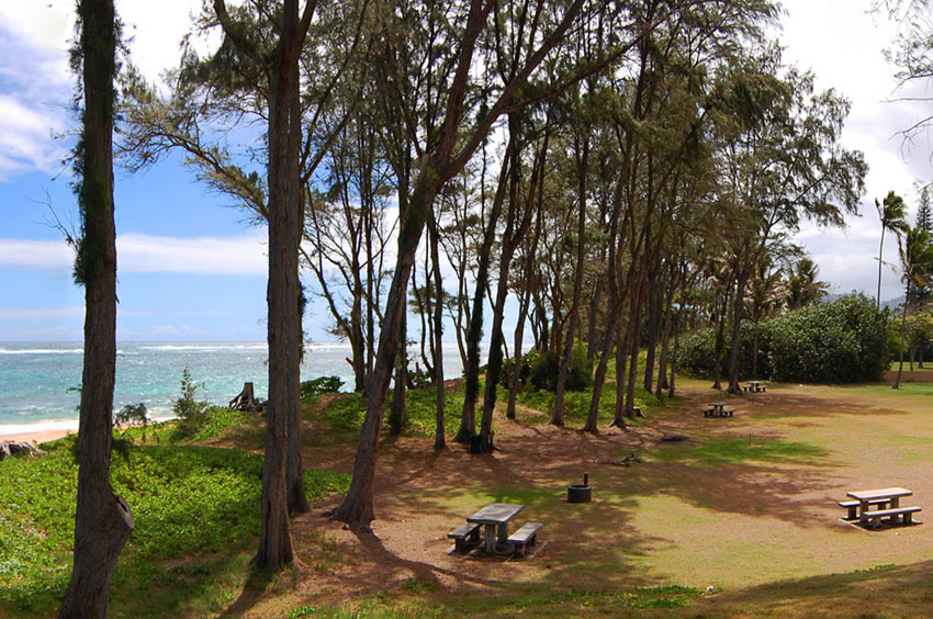 Oceanfront Picnic Spot