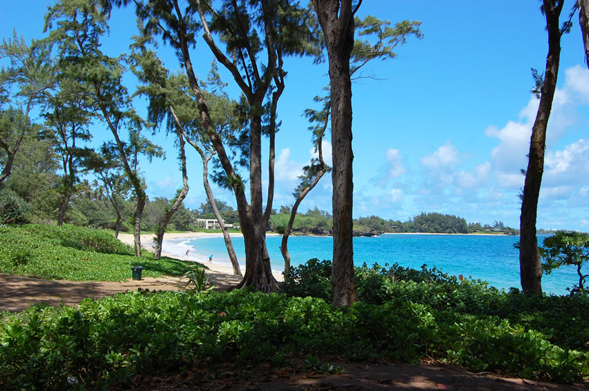 View to the Beach from the Park