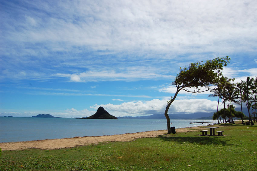 Beachfront Picnic Area