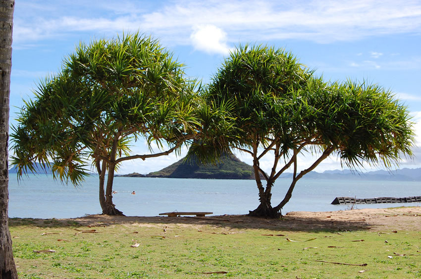 Kualoa Regional Park