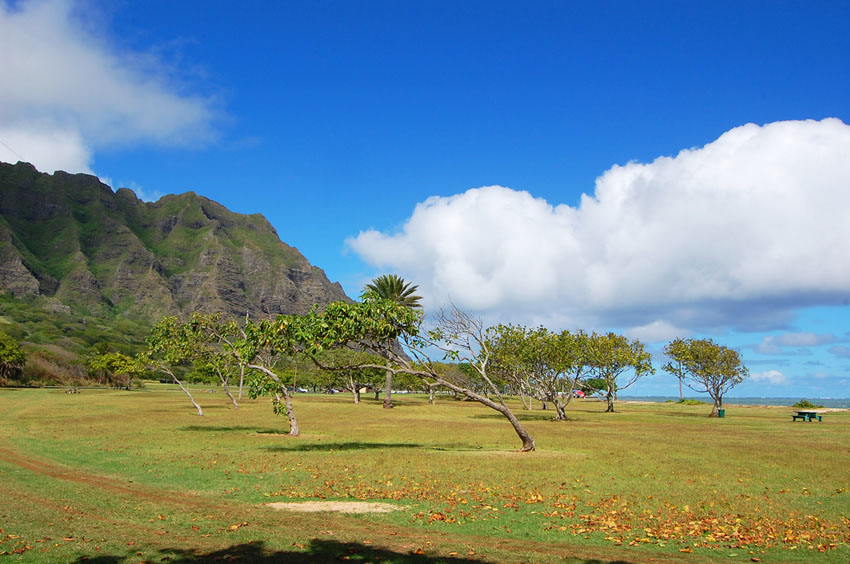 Good Place for Picnics
