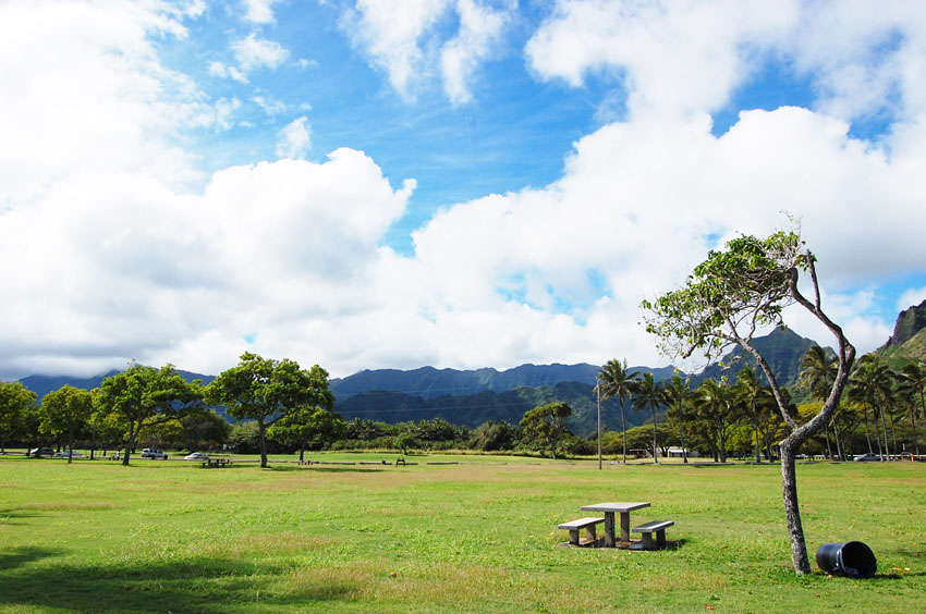 Large Park Area