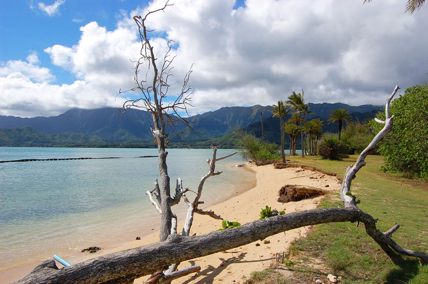 Secluded Beach
