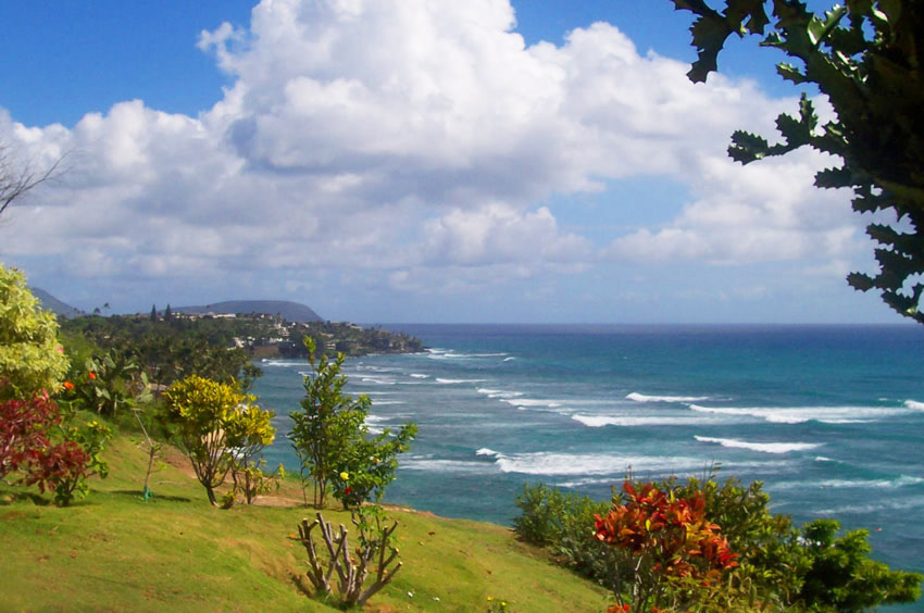 Kuilei Vista