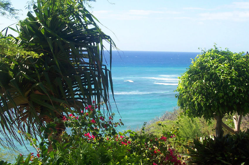 Scenic Lookout