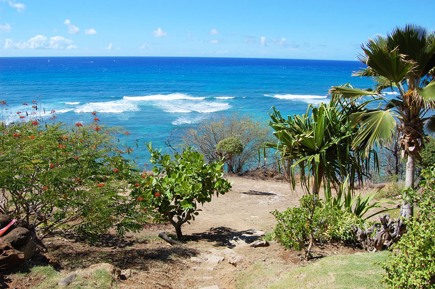 Steep Cliffs
