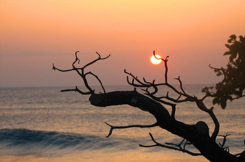 Kuilima Cove Sunset