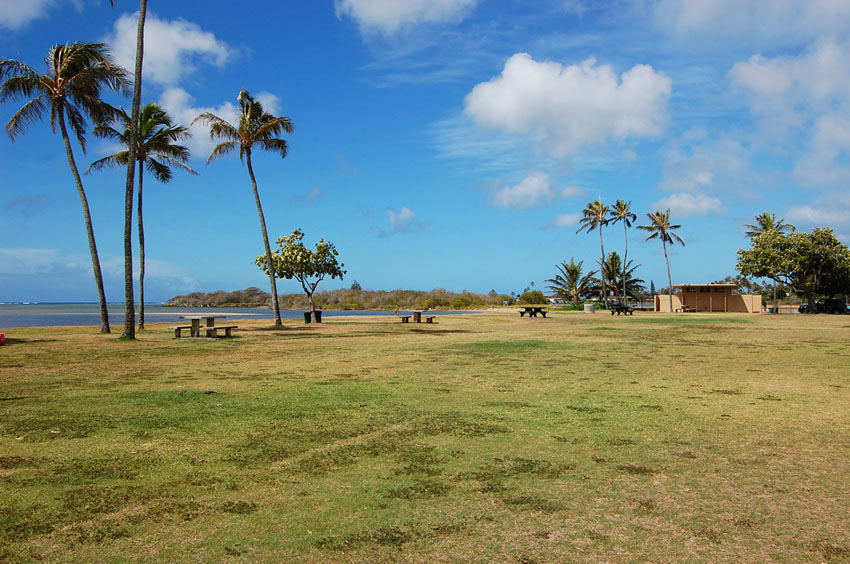 Large Grassy Area