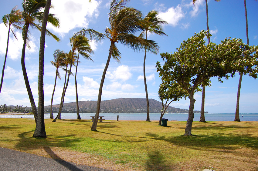 Overlooking Portlock
