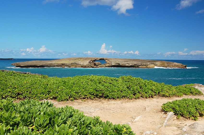 Laie Point