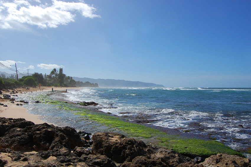 Beach Near Haleiwa