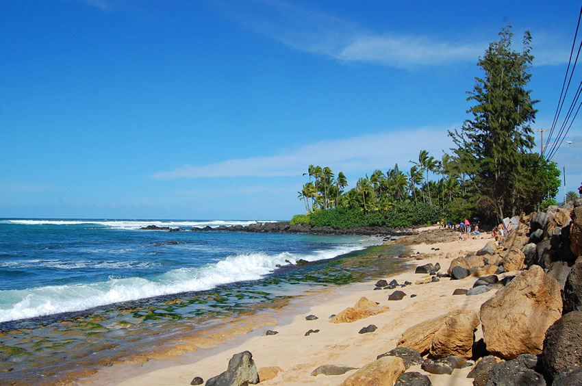 Rocky and Slippery Shoreline