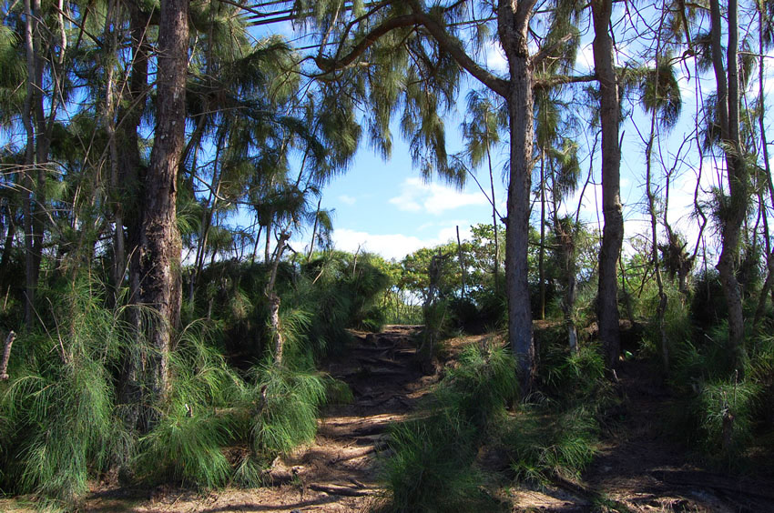 Steep Walkway