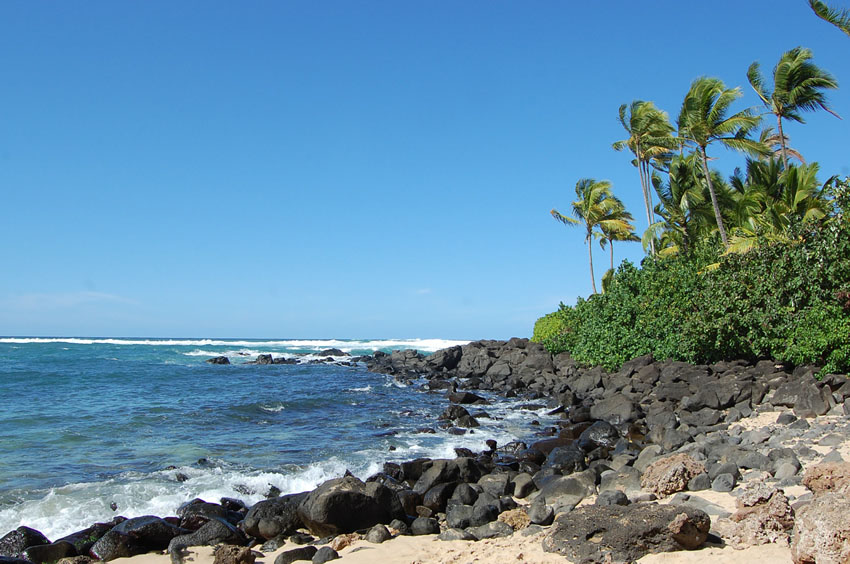 Tropical Scenery