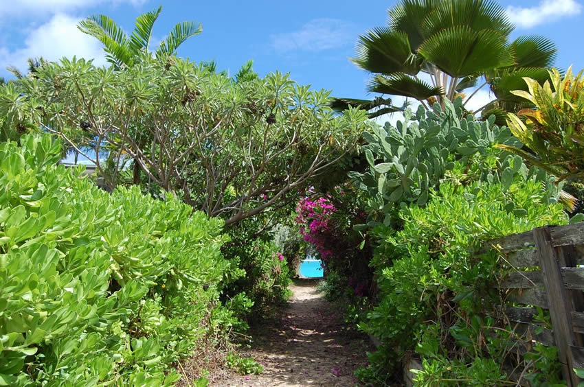 Another Beach Entrances