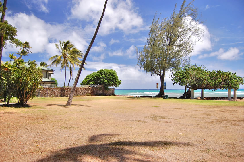 Beachfront Shady Area