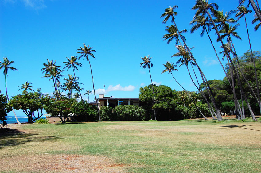Large Grassy Area2