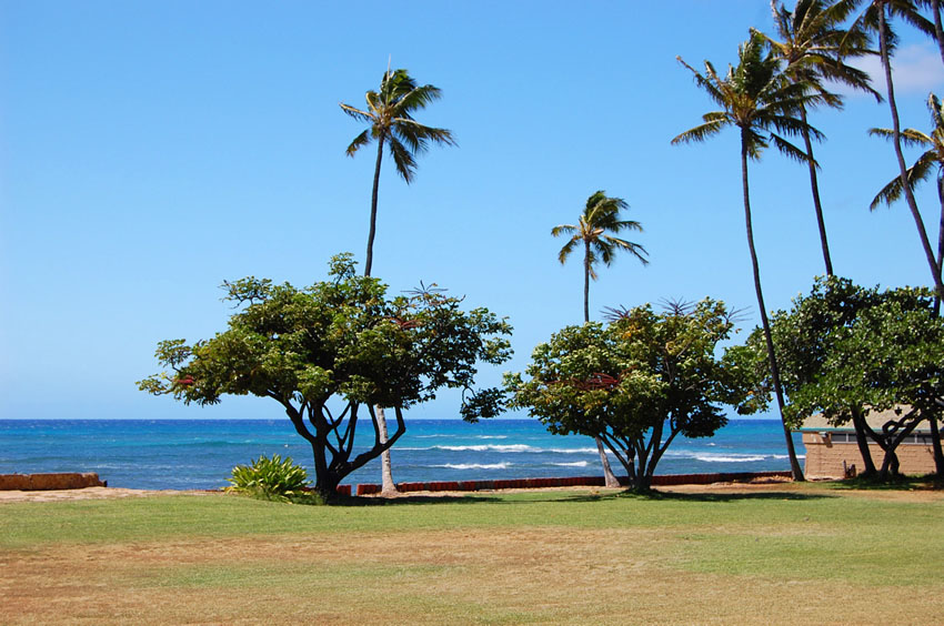 Scenic Park