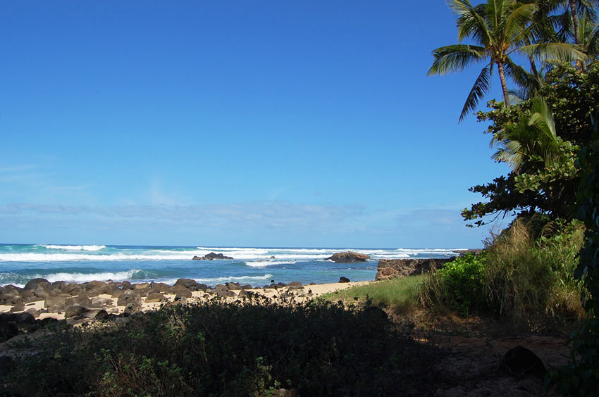 Rocky Shoreline