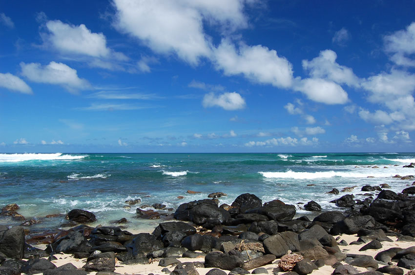 Scenic Shoreline 1