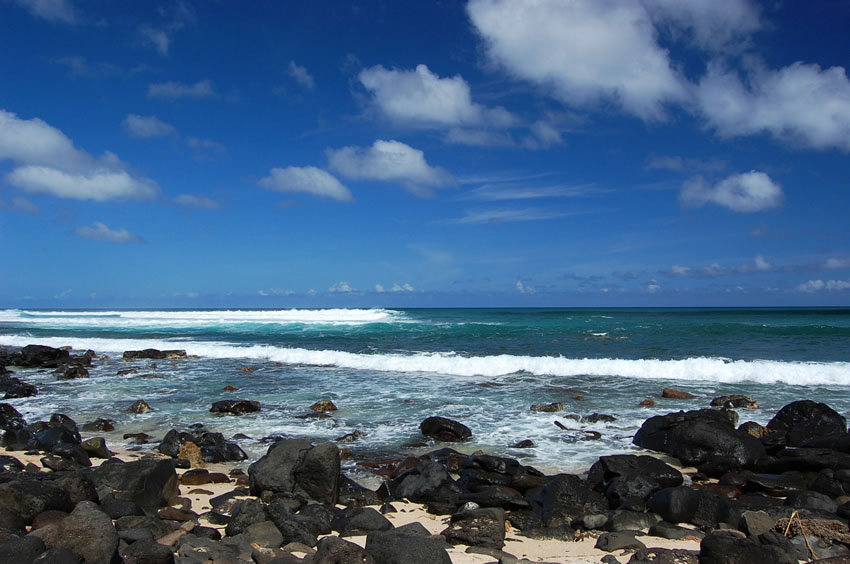 Scenic Shoreline 2