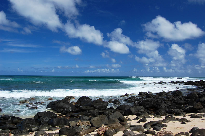 Scenic Shoreline 3