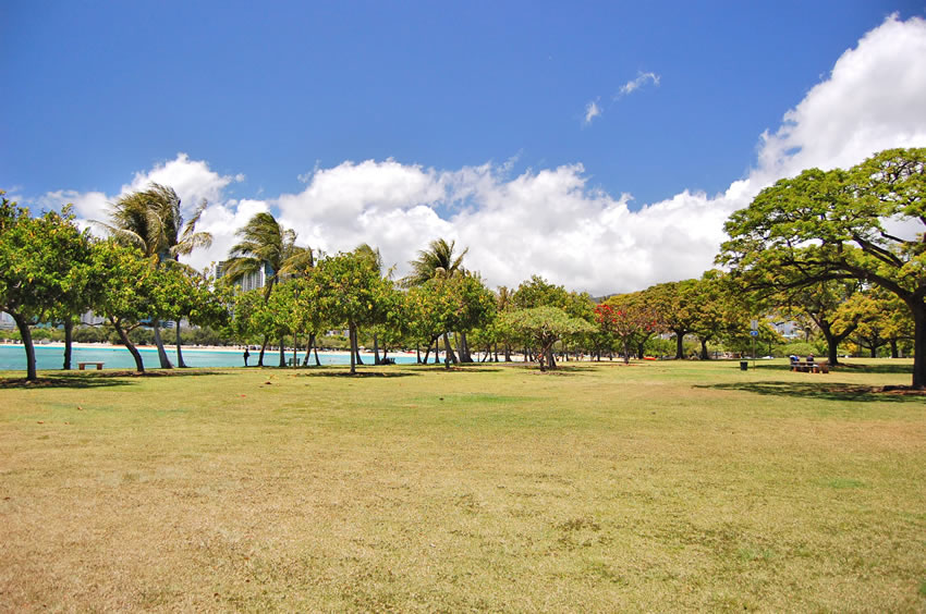Large Park Area