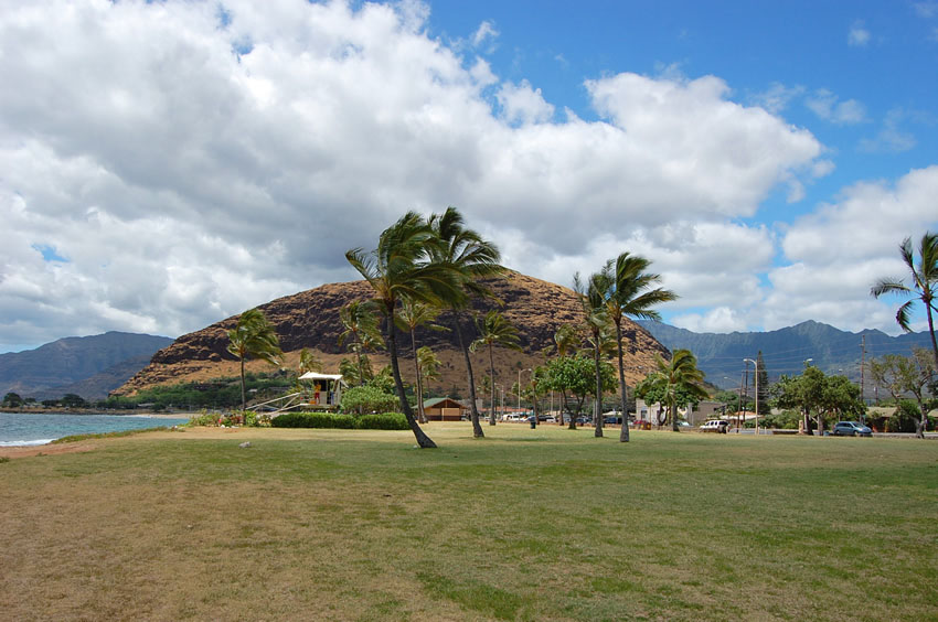 Nice Park for a Picnic