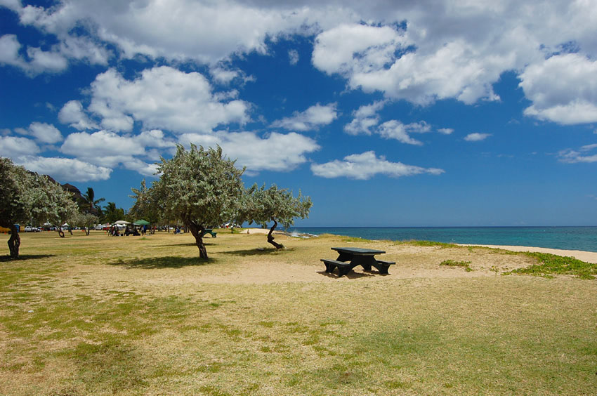 Picnic Table with Ocean View