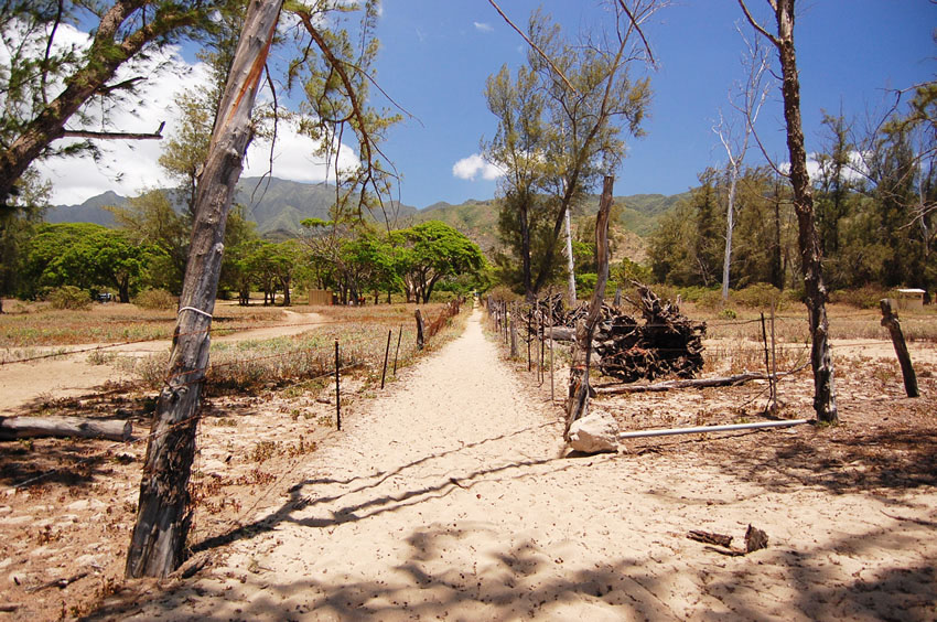 Beach Trail