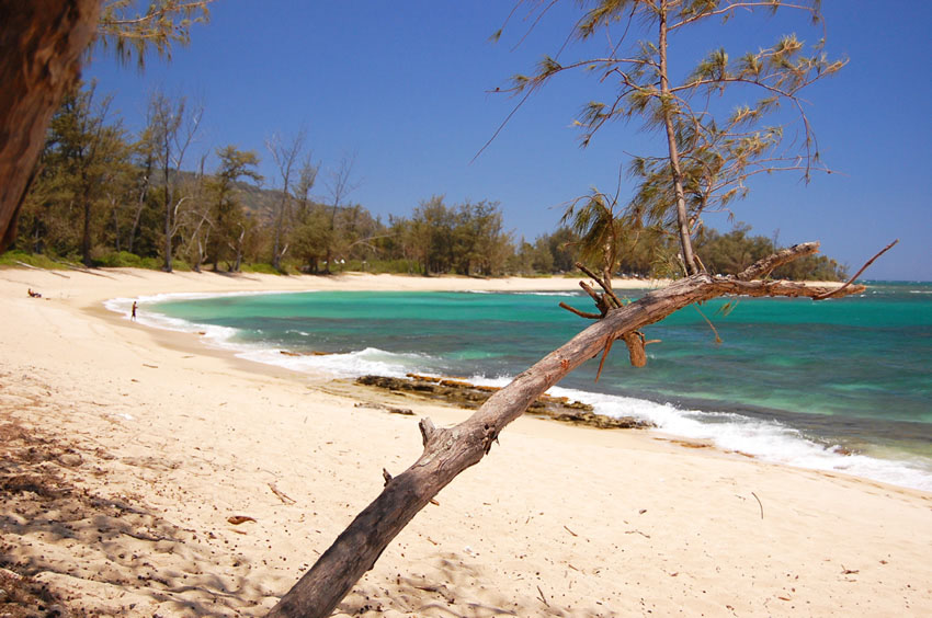 Long White Sand Beach