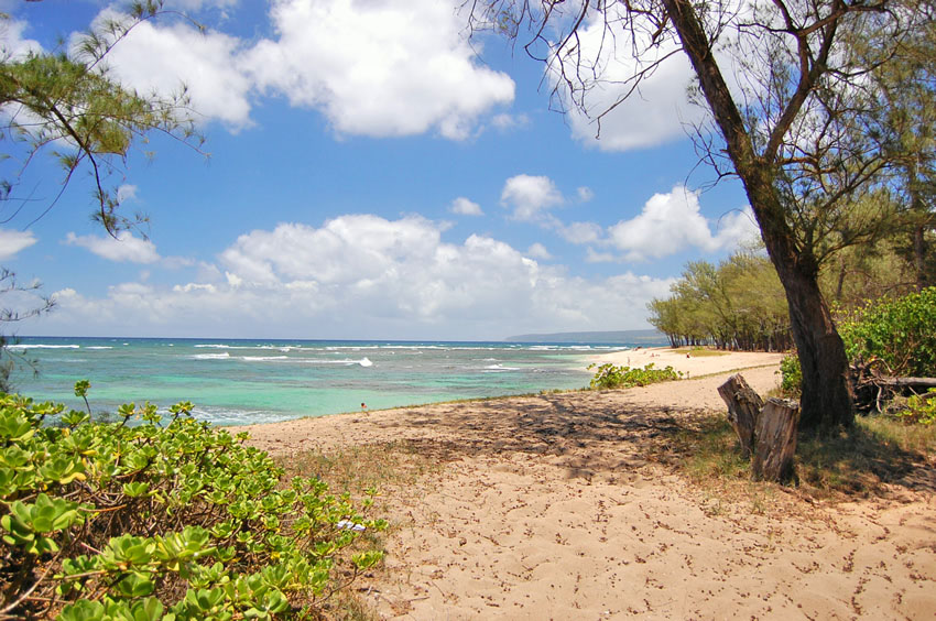 Scenic North Shore Beach
