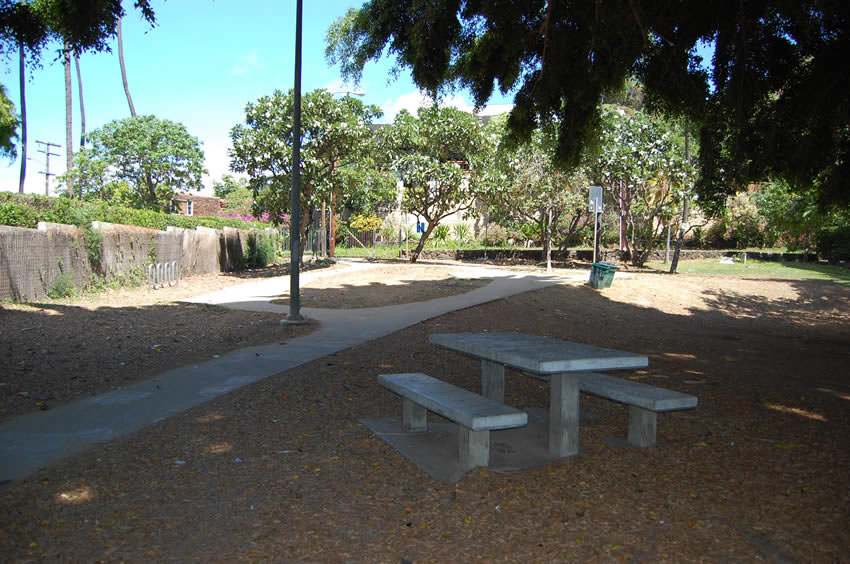 Picnic Area Under a Tree