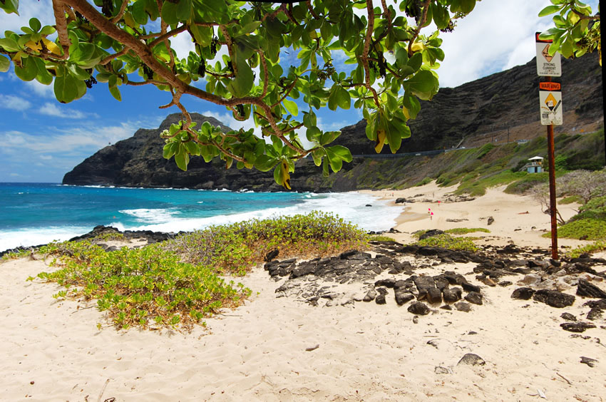 Scenic View to the Beach