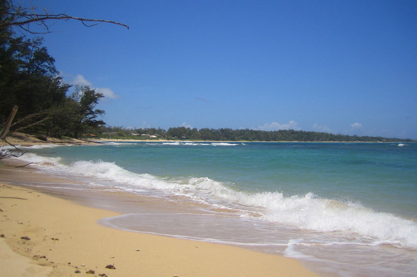 Beach Near Laie