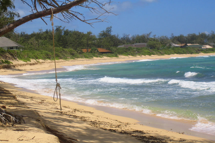 Beachfront Homes