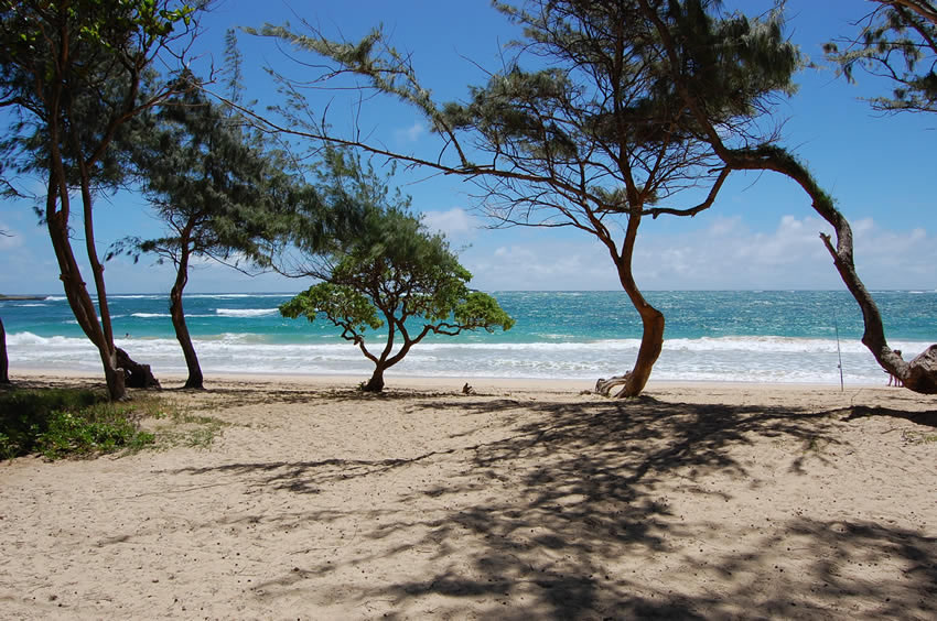 Malaekahana Bay 04