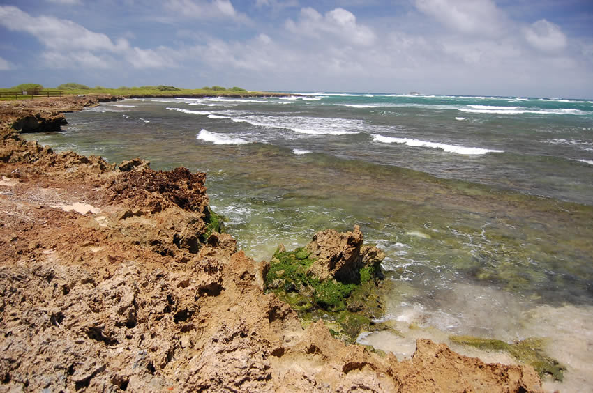 Malaekahana Bay 08