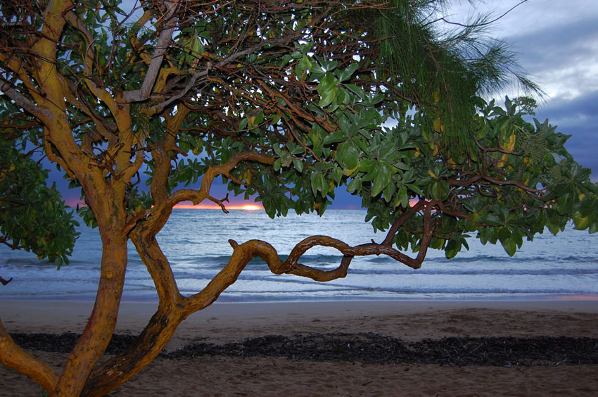 Malaekahana Bay 24