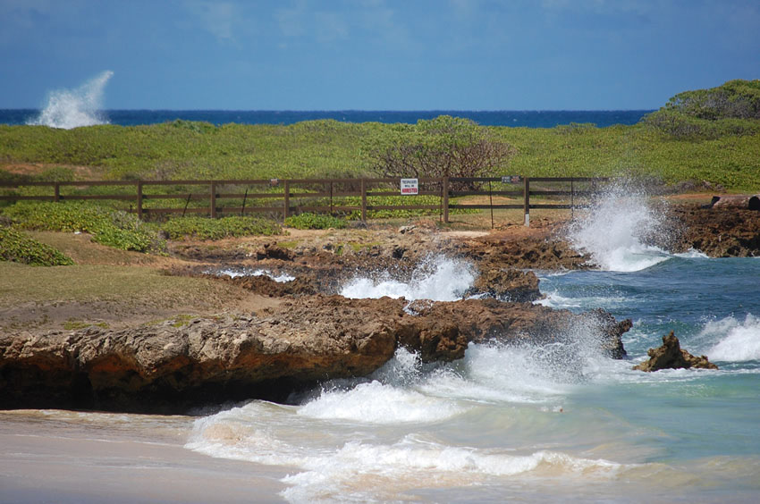 Malaekahana Bay 26