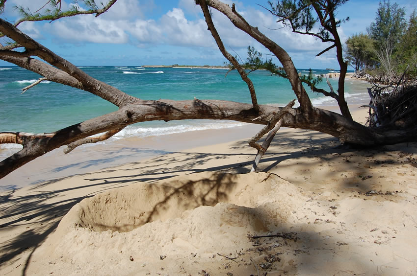 Malaekahana Bay 29
