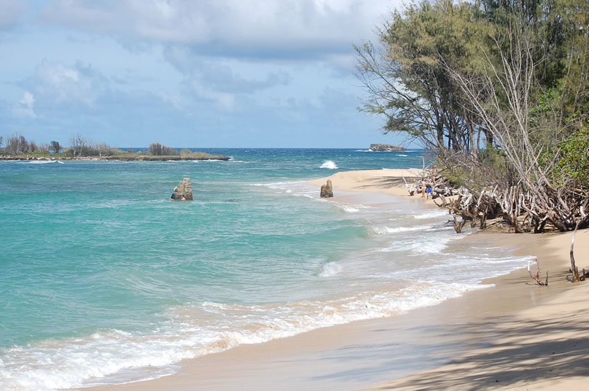 Malaekahana Bay 30