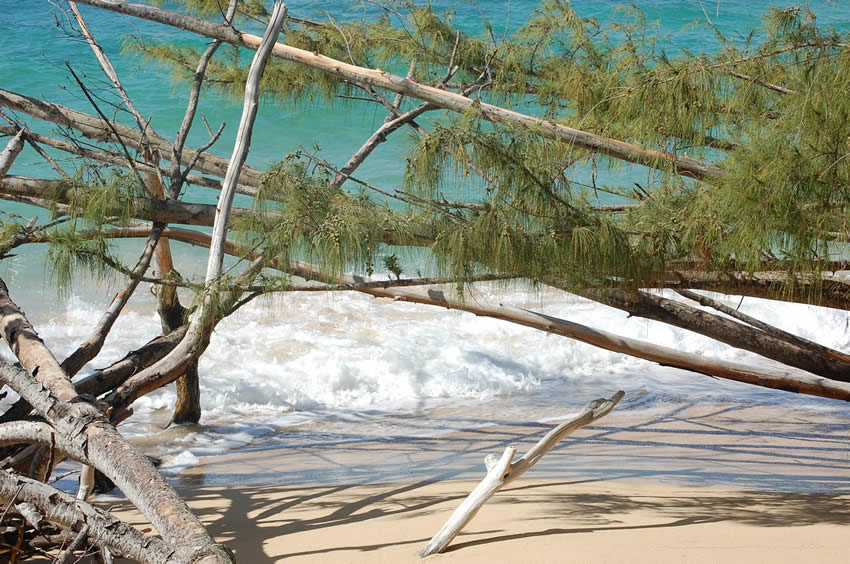 Malaekahana Bay 31