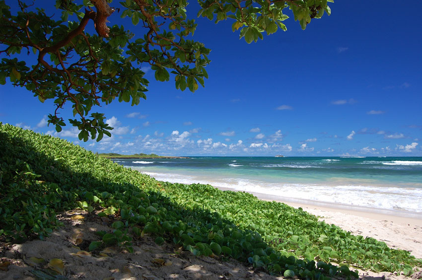 Malaekahana Bay 35