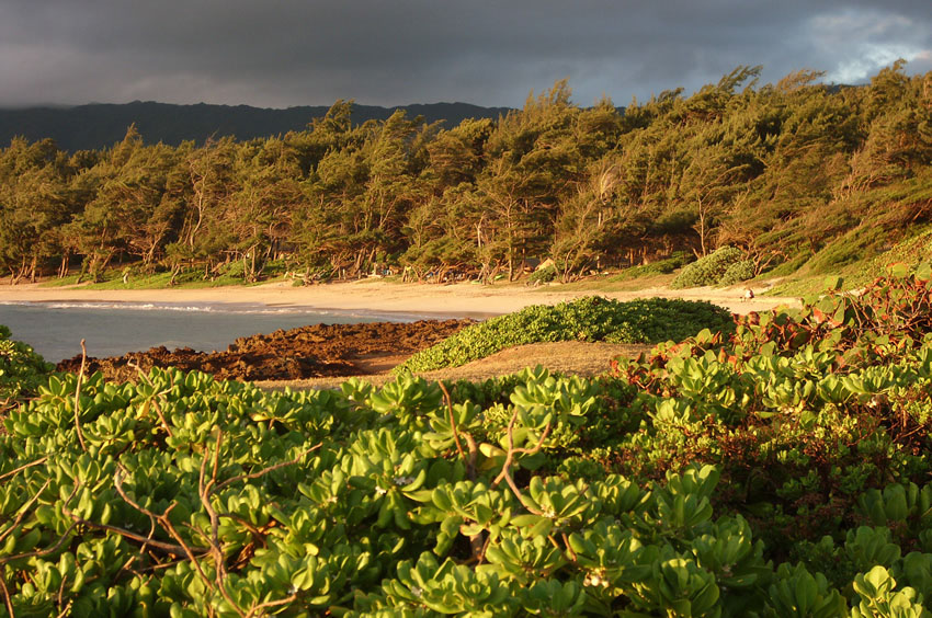 Malaekahana Bay 46