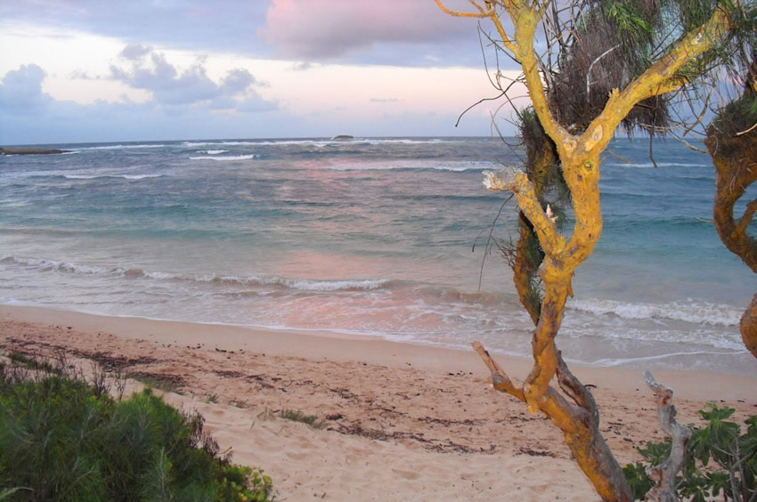 Malaekahana Bay 47