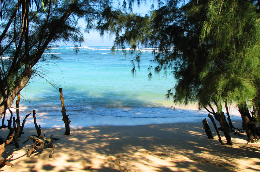 Shady Cove